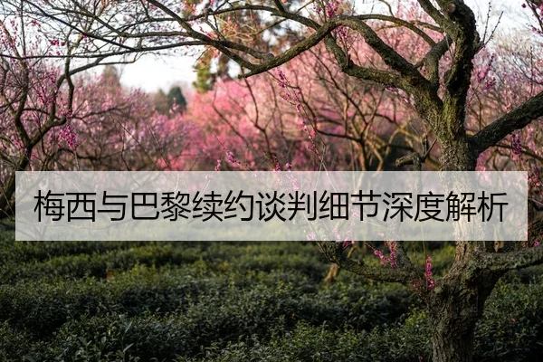 梅西与巴黎续约谈判细节深度解析